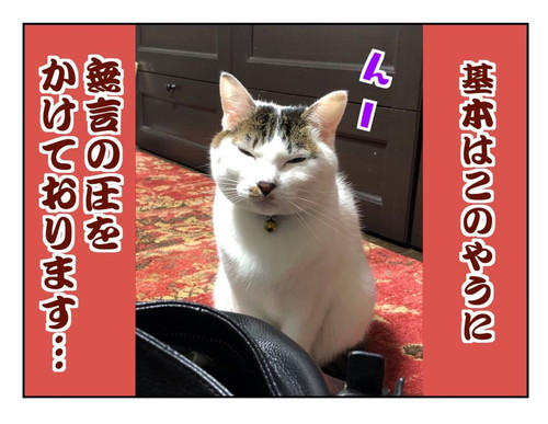 基本は控えめなまるまるちゃん