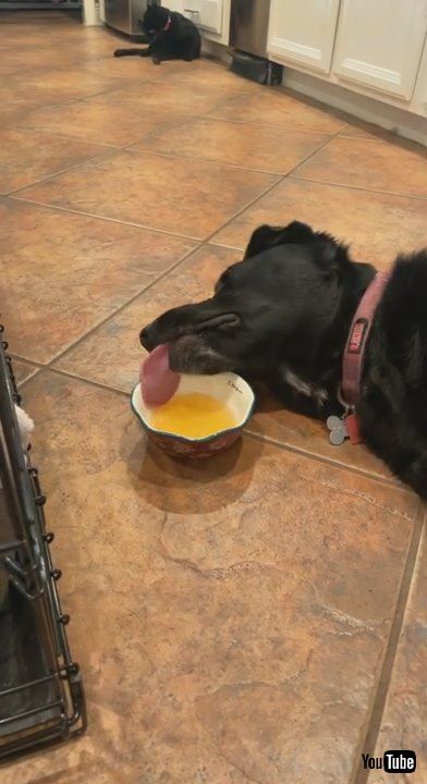 「When The Soup Starts Tasting Like a Nap || ViralHog」