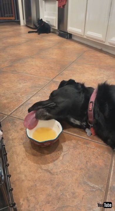 「When The Soup Starts Tasting Like a Nap || ViralHog」