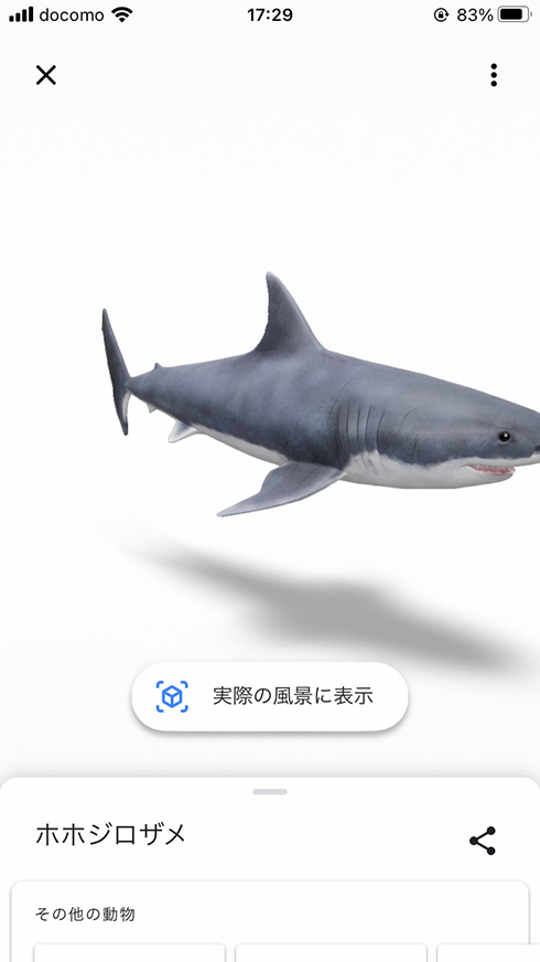 部屋の中にサメが……！　好きなときにいつでもサメを召喚できるGoogleアプリのAR機能が登場