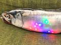 鮭の腹で光る「ゲーミングいくら」爆誕