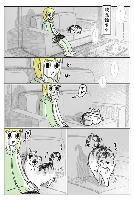 感動シーンに寄ってくる猫ちゃん