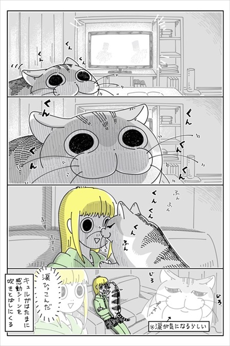 感動シーンに寄ってくる猫ちゃん