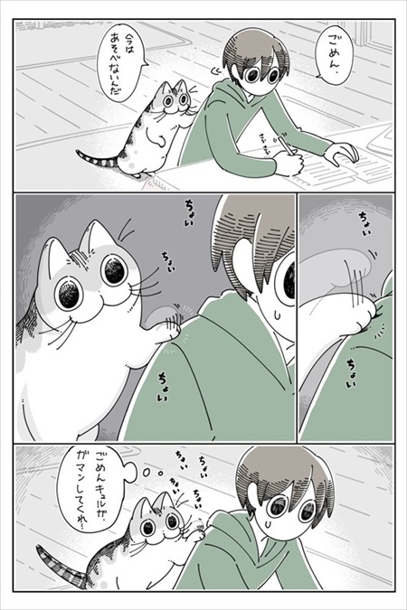 感動シーンに寄ってくる猫ちゃん