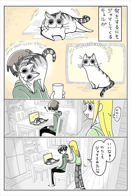 感動シーンに寄ってくる猫ちゃん