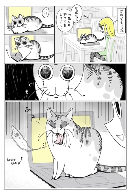 感動シーンに寄ってくる猫ちゃん