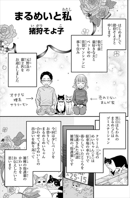 一目ぼれした保護猫を迎えた話