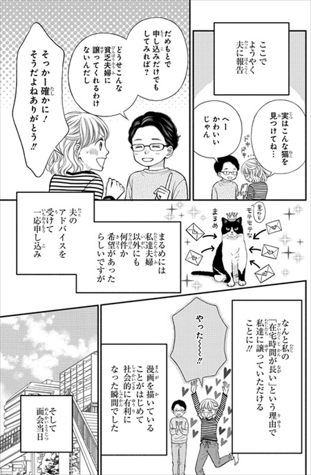 一目ぼれした保護猫を迎えた話
