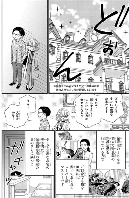 一目ぼれした保護猫を迎えた話