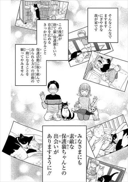 一目ぼれした保護猫を迎えた話