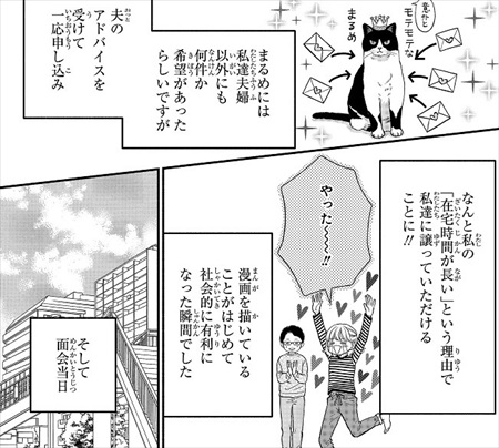 一目ぼれした保護猫を迎えた話