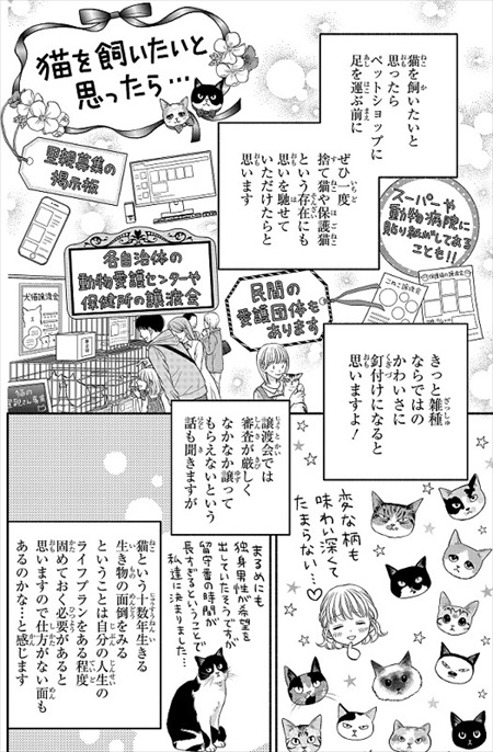 一目ぼれした保護猫を迎えた話