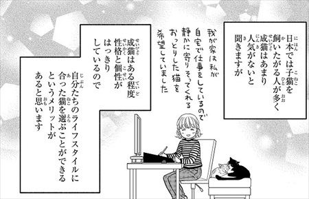 一目ぼれした保護猫を迎えた話