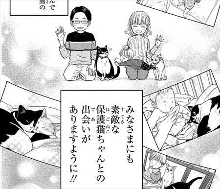 一目ぼれした保護猫を迎えた話