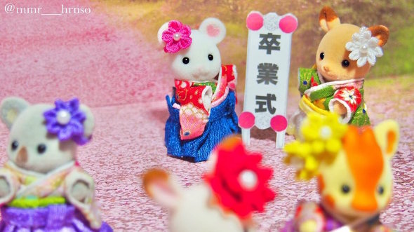 シルバニア 卒業式