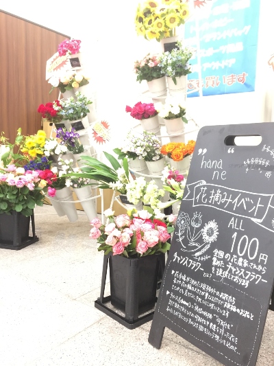 チャンスフラワー