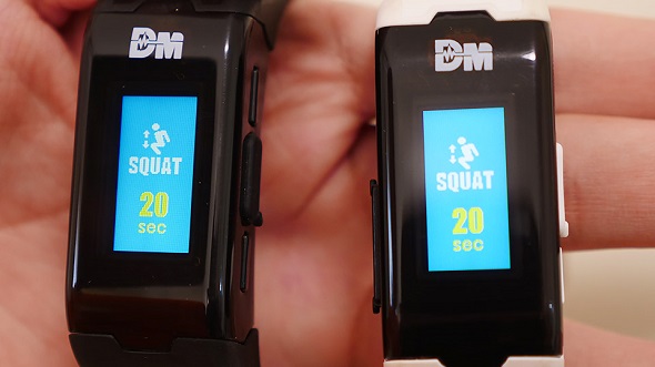 デジモンバイタルブレス