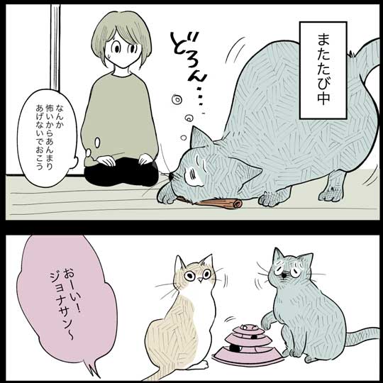 猫 日常 漫画 長谷川ろく ジョナ またたび 愛 狂気 執念