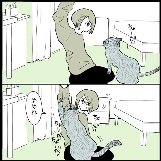 猫 日常 漫画 長谷川ろく ジョナ またたび 愛 狂気 執念