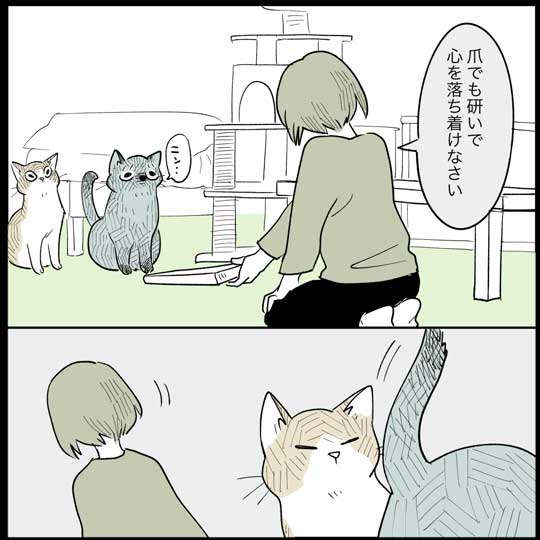 猫 日常 漫画 長谷川ろく ジョナ またたび 愛 狂気 執念