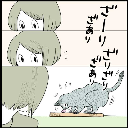 猫 日常 漫画 長谷川ろく ジョナ またたび 愛 狂気 執念