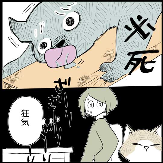 猫 日常 漫画 長谷川ろく ジョナ またたび 愛 狂気 執念