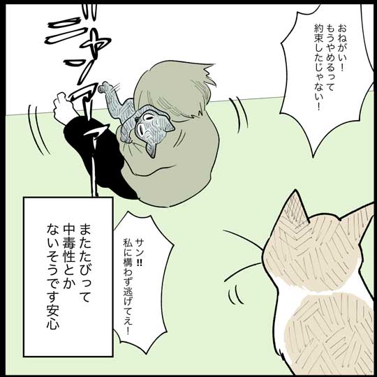 猫 日常 漫画 長谷川ろく ジョナ またたび 愛 狂気 執念