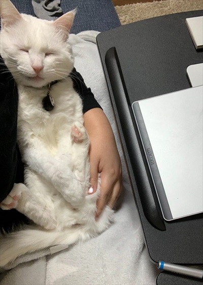 仕事が遅くなる理由