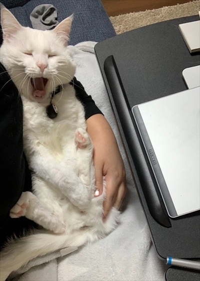 仕事が遅くなる理由