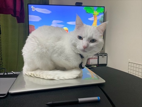 仕事が遅くなる理由