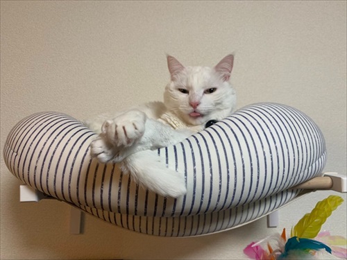 仕事が遅くなる理由