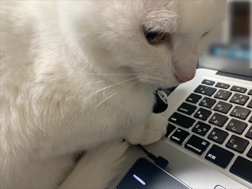 仕事が遅くなる理由