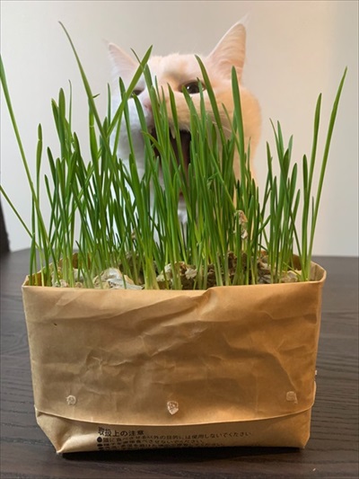 仕事が遅くなる理由