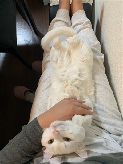 仕事が遅くなる理由