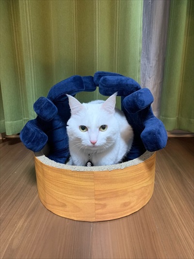 仕事が遅くなる理由