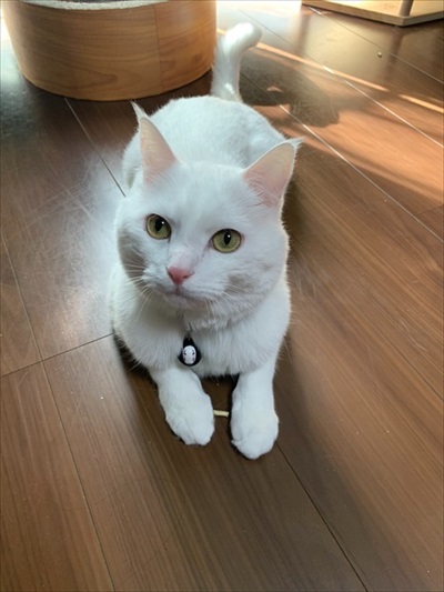 仕事が遅くなる理由