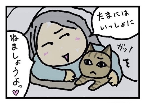 全身で嫌がる猫ちゃん