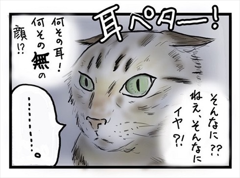 全身で嫌がる猫ちゃん