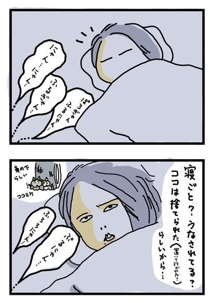 全身で嫌がる猫ちゃん