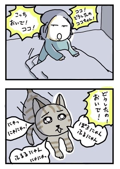 全身で嫌がる猫ちゃん