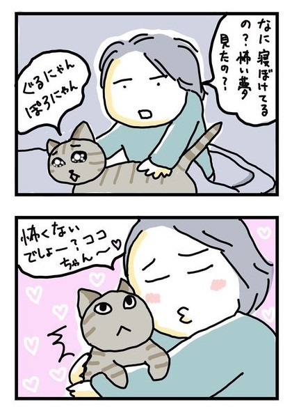 全身で嫌がる猫ちゃん