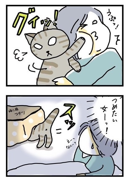 全身で嫌がる猫ちゃん
