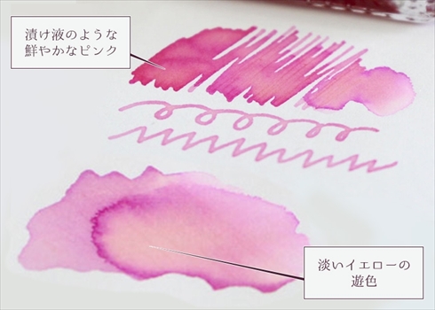 岩下 新生姜