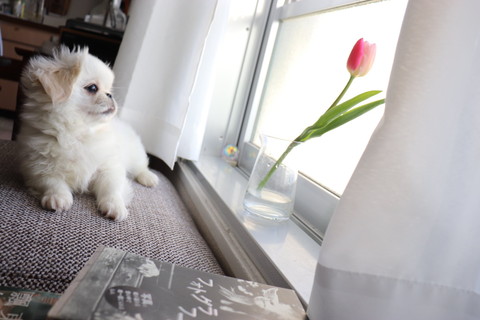 ムーチョちゃんいろいろ