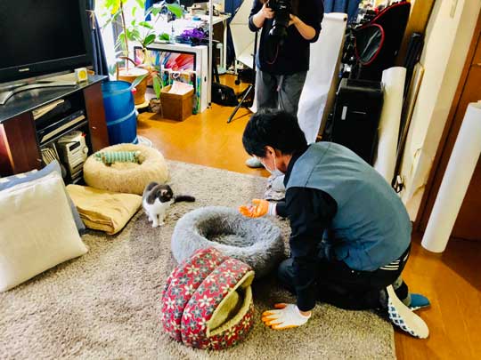 猫 顔 表情 不満 おこ 余計なことすんな プロ 掃除 抜け毛