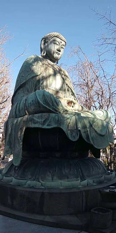 お釈迦様 愛される 猫 日なたぼっこ お昼寝 膝の上 御手 包まれて