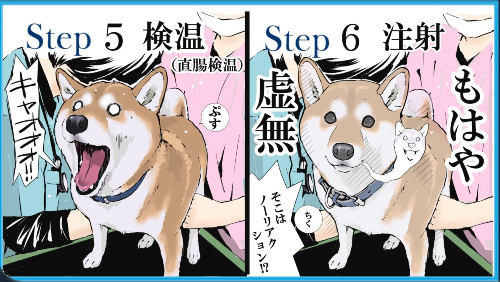ウチの犬の狂犬病予防接種の一連の流れ