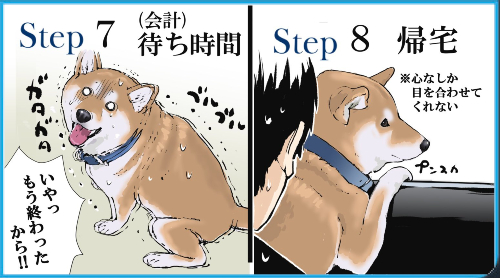 ウチの犬の狂犬病予防接種の一連の流れ