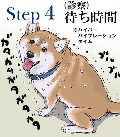 ウチの犬の狂犬病予防接種の一連の流れ