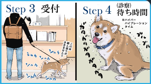 ウチの犬の狂犬病予防接種の一連の流れ